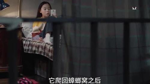 蛇姐最新爆料视频在线看,精彩内容抢先看！  第1张